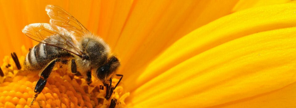 Jawaban Pria untuk Masalah Wanita – Dad Answers